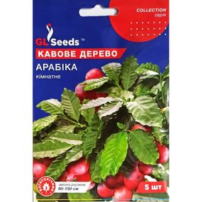 Насіння Кавове дерево Арабіка 5 шт
