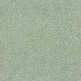 Лінолеум Tarkett Spark V 08 (2m)