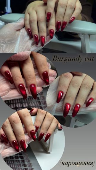 Гель-лак котяче око Gelix Cat Eye Burgundy 8мл | Зображення 1