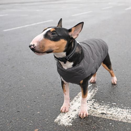 Жилет Pet Fashion «E.Vest» для собак, размер M2, серый | Зображення 3