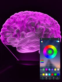 Акриловый светильник-ночник управление с телефона Мозг tty-n000918