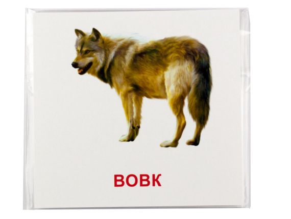 Розвиваючі картки "Лісові мешканці" (110х110 мм) 66425  укр. /англ. мовою | Зображення 2