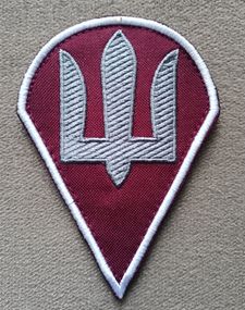 Шеврон ДШВ Десантно-штурмовые войска ЗСУ (качество)