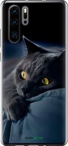 Чохол на Huawei P30 Pro Димчастий кіт "825t-1621-2448"