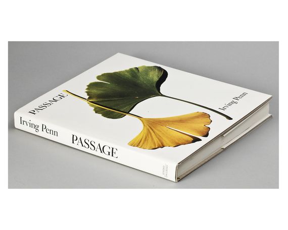 Фотоискусство подарочные книги для фотографов работы Ирвина Пенна Irving Penn "Passage A Work Record" Б/У | Зображення 3