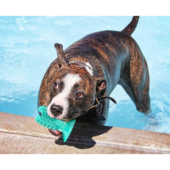 Міцна жувальна іграшка для собак «Кактус із присоском» — засіб для гігієни зубів, зняття стресу та активних ігор