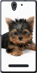 Чехол на Sony Xperia C3 D2502 Щенок йоркширского терьера "931u-171-17620"