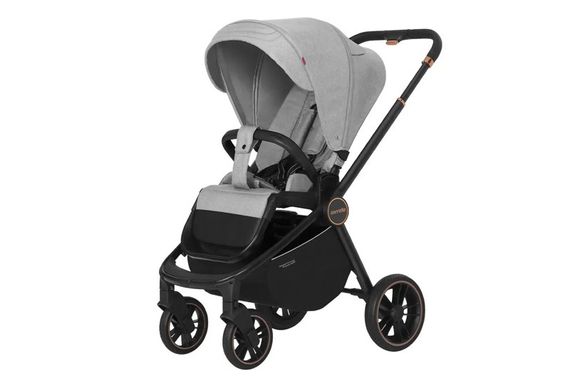 Коляска універсальна CARRELLO Epica CRL-8510/1 (2in1) Silver Grey | Зображення 1