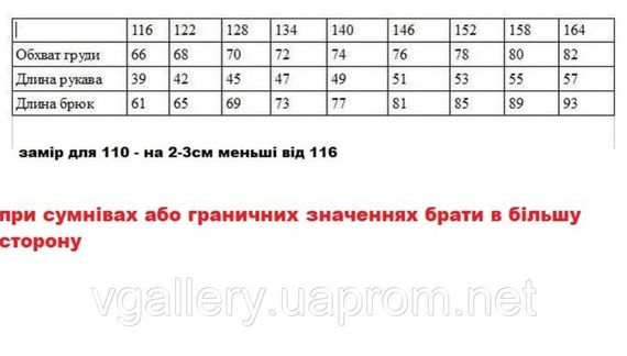 Комплект дитского термобелья Columbia на флисе для детей и подростков,  + Носки в подарок Унисекс, флисова от 116 до 134 на выбор | Зображення 6