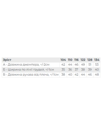 Джемпер для дівчинки Носи своє 134 Блакитний (p-17841-210296) | Зображення 3