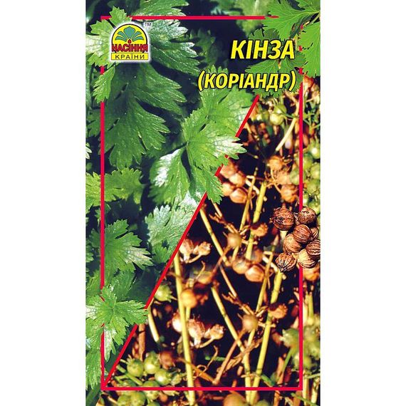 Насіння Кінза коріандр 20 г