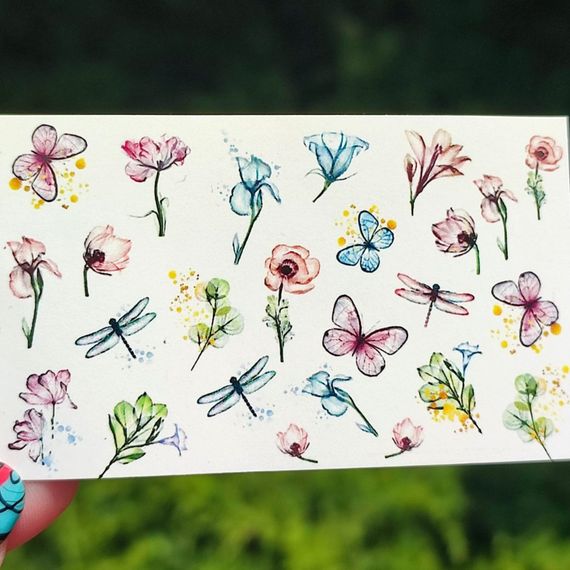 Слайдер B-13 на водяній основі (5x8см)