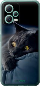 Чохол на Xiaomi Poco X5 5G Димчастий кіт "825u-3016-2448"