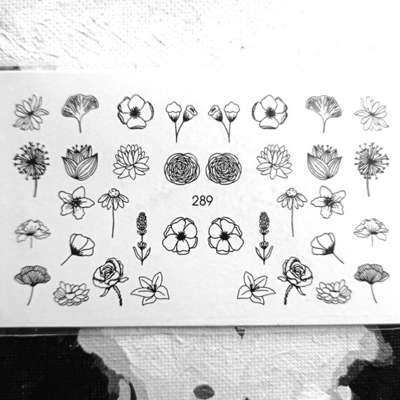 Слайдер 289 на водяній основі