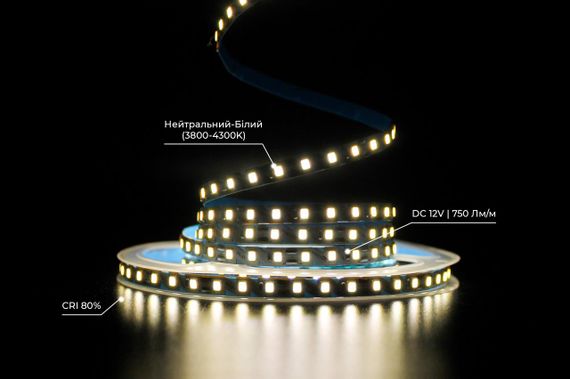 Світлодіодна LED стрічка PROLUM™ 12V 2835\120 IP20 S-TYPE Series "SG" Нейтральний-Білий (3800-4300K) | Зображення 3