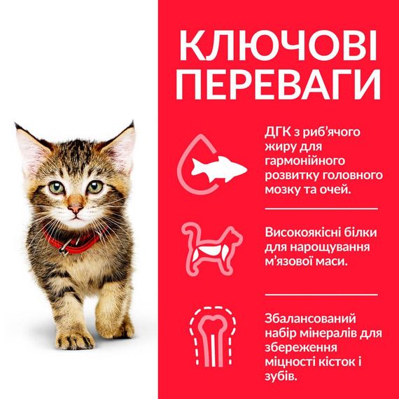 Сухой корм Hill's Science Plan для котят и кошек в период беременности и лактации с курицей 3 кг | Зображення 2