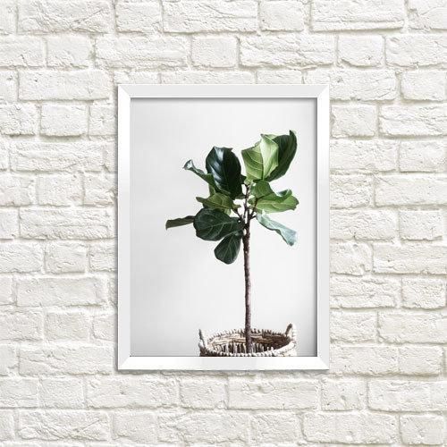 Постер в рамке Вазон 15x21 см, A5 (WMT5_ART050_WH)