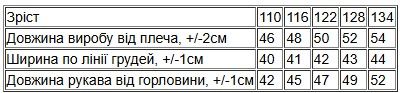 Худі для дівчинки (з капюшоном) Носи своє 134 Блакитний (p-12414-182910) | Зображення 5
