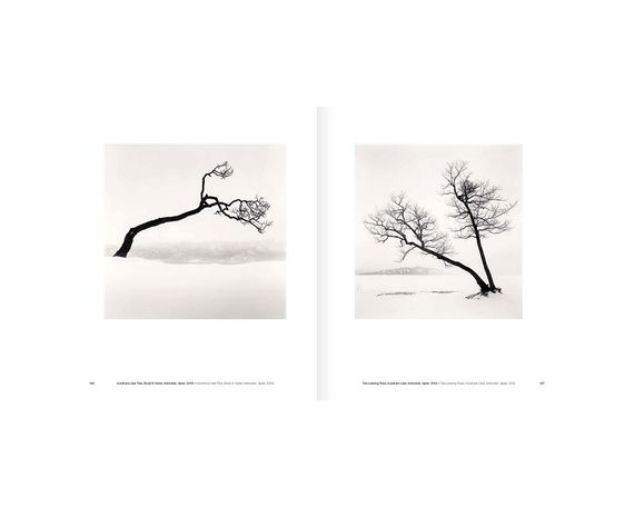 Книга Michael Kenna: Trees / Arbres (Signed) | Зображення 1