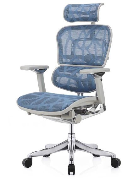 Кресло компьютерное ERGOHUMAN Plus Luxury (EHPL-AG-HAM-ZB5) Blue | Зображення 7