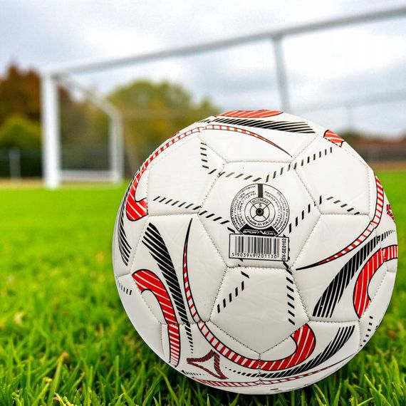 М'яч футбольний SportVida SV-SE0102 Size 5 | Зображення 1