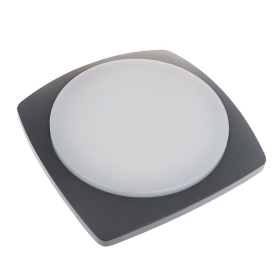Светильник LED фасадний IP54 AL-262/20W
