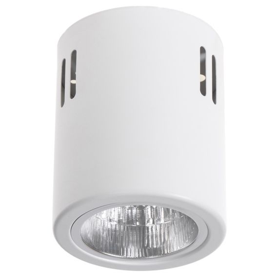 Подсветка тубус накладная AL-70/1 GU10 SWH IP20 MR16