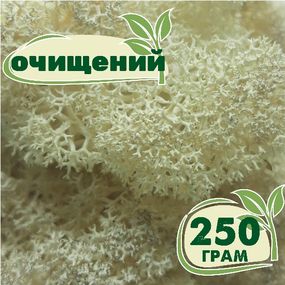 Очищенный стабилизированный мох ягель Nordic moss Натуральный белый 250 грамм