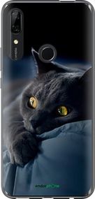 Чохол на Huawei Y9 Prime 2019 Димчастий кіт "825u-1736-2448"