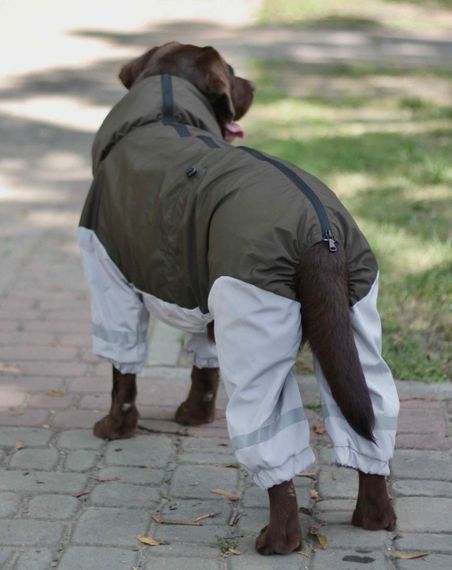 Дощовик для великих собак хакi з сiрим MB-4 | Зображення 1