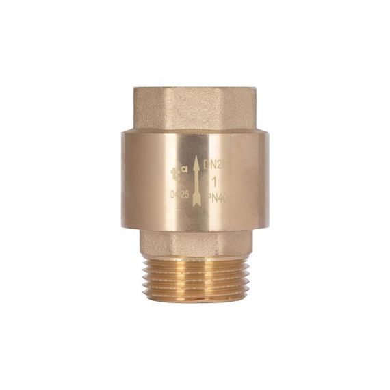 Обратний клапан Thermo Alliance Standart 1"ВН с латунным штоком TAS248W25