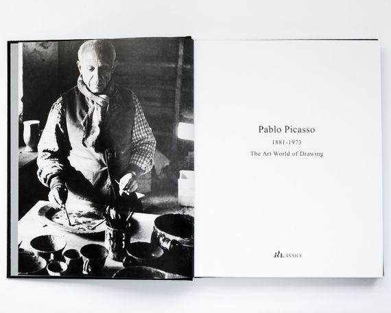 Книга про життя і творчість Пабло Пікассо Picasso The art world of drawing живопис книги | Зображення 1