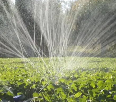 Стартер 32 мм для стрічки Туман ( 30шт/уп) | Зображення 3