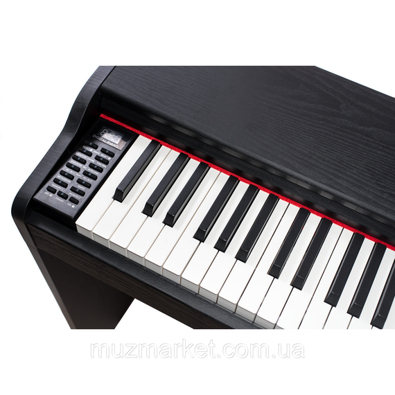 Цифрове піаніно Alfabeto Animato Assai (Black) + (стійка, 3 педалі, пюпітр, блок живлення) | Зображення 2