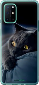 Чохол на OnePlus 8T Димчастий кіт "825u-2113-2448"