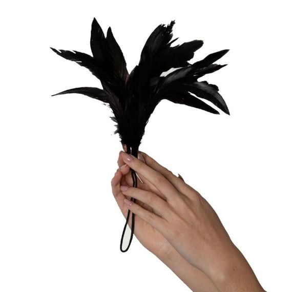 Перья для щекотания Adrien Lastic Prestige черные Sex Aura | Зображення 1