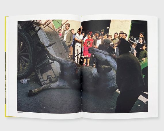 Книга про уличную фотографию Joel Meyerowitz: The Pleasure of Seeing книги с фотографиями известных фотографов | Зображення 3