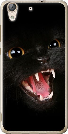 Чехол на Huawei Y6 II Чёрная кошка "932u-338-17620"