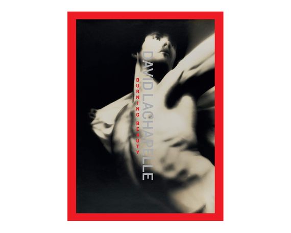 Книга лучшие фотографы мира Дэвид Лашапель David LaChapelle "Burning Beauty" подарочные книги по фотографии