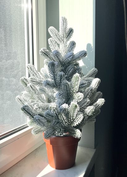 Ялинка Traditional лита в горщику 50 см засніжена новинка | Зображення 1