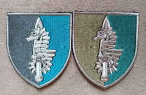 Шеврон 73 центр СпП - 2шт (цветной+зеленый)