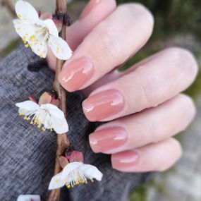 Гель для нарощення нігтів Mi Color Gel 12 (шоколадний) 5мл