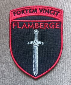 Шеврон 120 ОРБ (цветной)