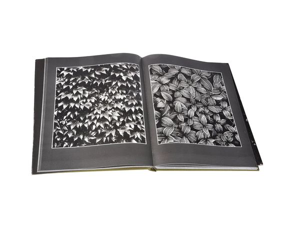 Книга о советских ню фотографах Римантас Дихавичюс:Цветы среди цветов. Flowers In Flower. Rimantas Dichavicius | Зображення 1