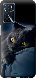 Чохол на Oppo A16 Димчастий кіт "825b-2469-2448"