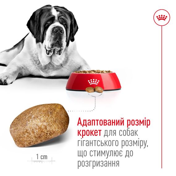 Корм Royal Canin Giant Adult сухой для взрослых собак гигантских пород 4 кг | Зображення 1