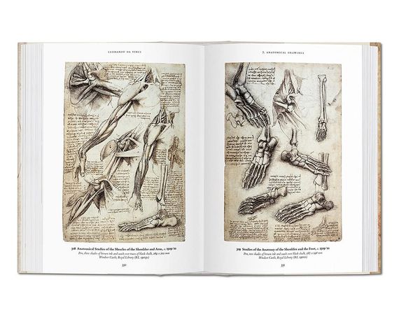 Книга Leonardo da Vinci: The Complete Drawings | Зображення 3