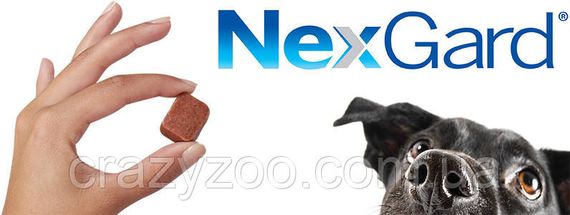 Таблетка от блох и клещей NexGard для собак от 2 до 4 кг | Зображення 1