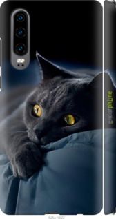 Чохол на Huawei P30 Димчастий кіт "825m-1622-2448"