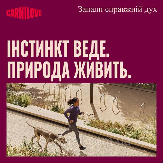Беззерновой сухой корм Carnilove True Fresh Fish & Turkey для взрослых собак рыба и индейка 12 кг (арт. 173747) | Зображення 7